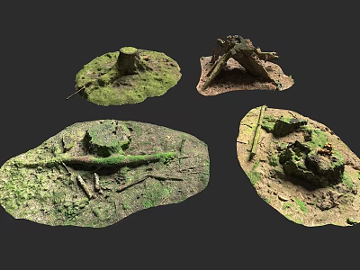 Natural Forest Floor Scenes With Moss Covered Tree Stumps And Twigs 3d model