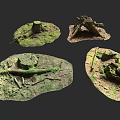 Natural Forest Floor Scenes With Moss Covered Tree Stumps And Twigs