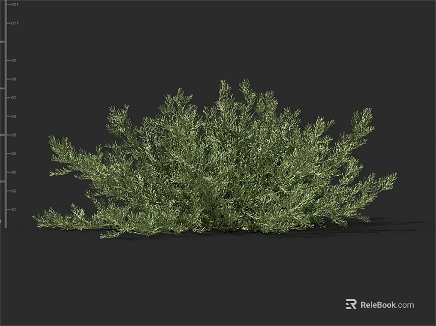 Lush Green Shrub with Dense Foliage and Natural Growth Pattern 3d model