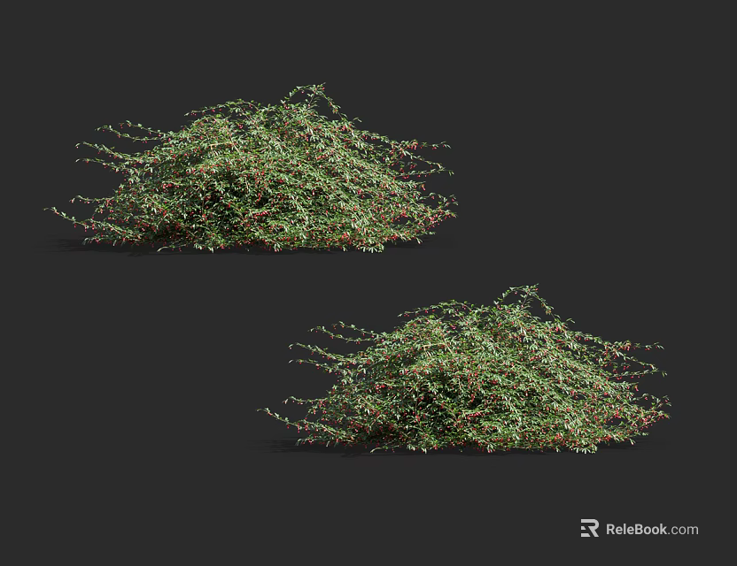Two Green Shrubs With Small Red Accents Against Black Background 3d model