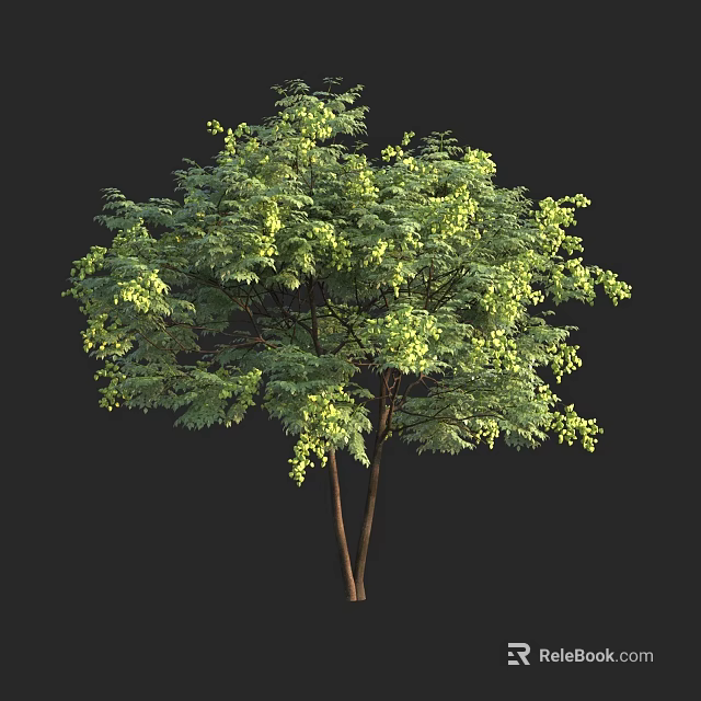 Lush Vibrant Green Arbor with Twin Trunks and Dense Foliage 3d model 