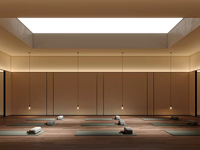 Yoga Studio Fitness Space With Skylight Ceiling Wooden Floors And Hanging Lights For Yoga Practice 3d model