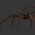 Fantasy Spider Like Creature With Long Legs And Curled Tail 3d model