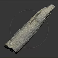 Gray Petrified Wood Stone with Natural Textured Surface on Black Background