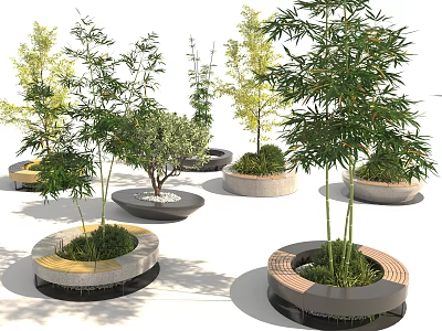 Multiple Circular Tree Planters With Bamboo Green Plants Concrete And Wooden Edges 3d model