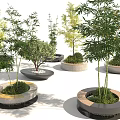 Multiple Circular Tree Planters With Bamboo Green Plants Concrete And Wooden Edges