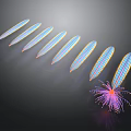 Aquatic Animals With Slender Blue Pink Stripes Arranged In Row And Radial Structure Dark Background