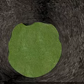 Tall Arbor Featuring Lush Green Foliage And Brown Trunk On Paved Ground With Person Figure