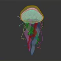 Transparent Jellyfish With Elegant Glowing Tentacles And Graceful Form On Dark Background