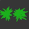 Lush Green Aquatic Plants With Long Feathery Leaves And Dense Growth