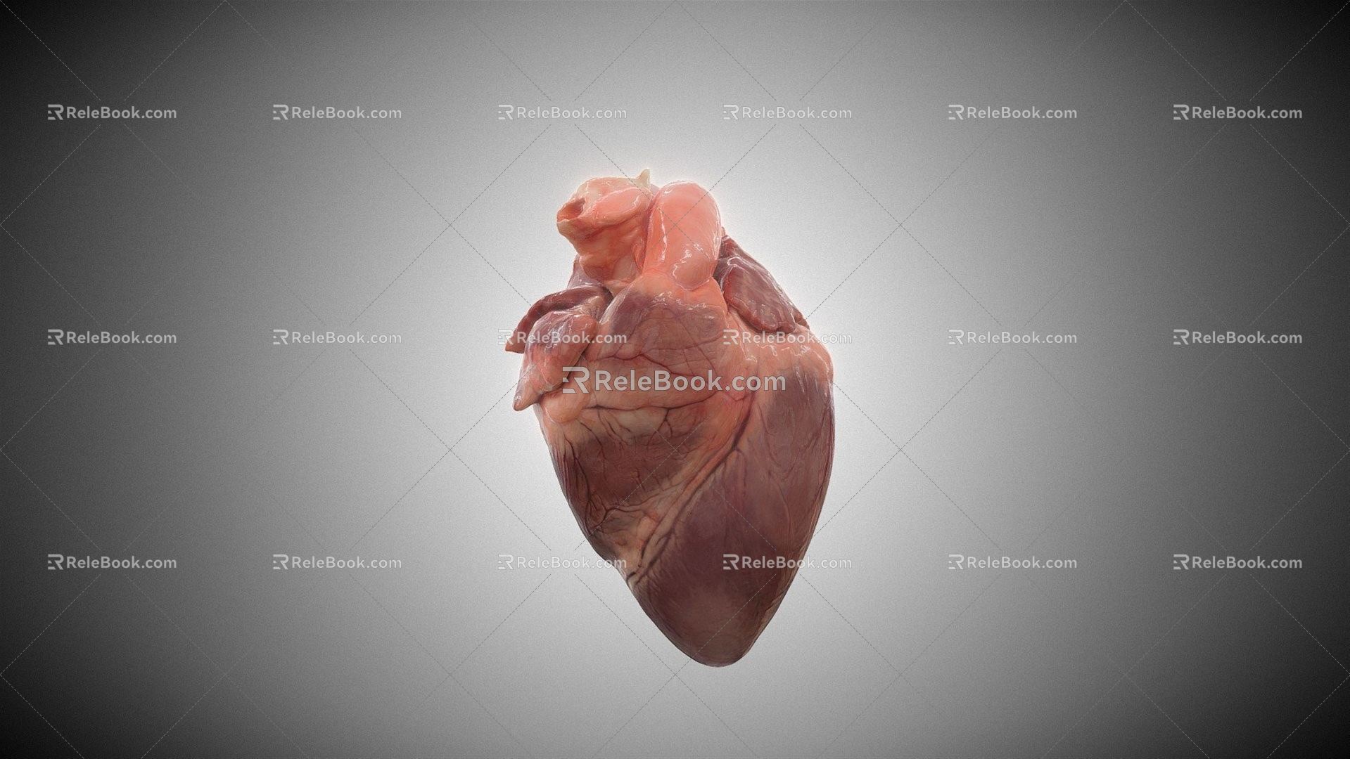 The Modern Heart 3d model