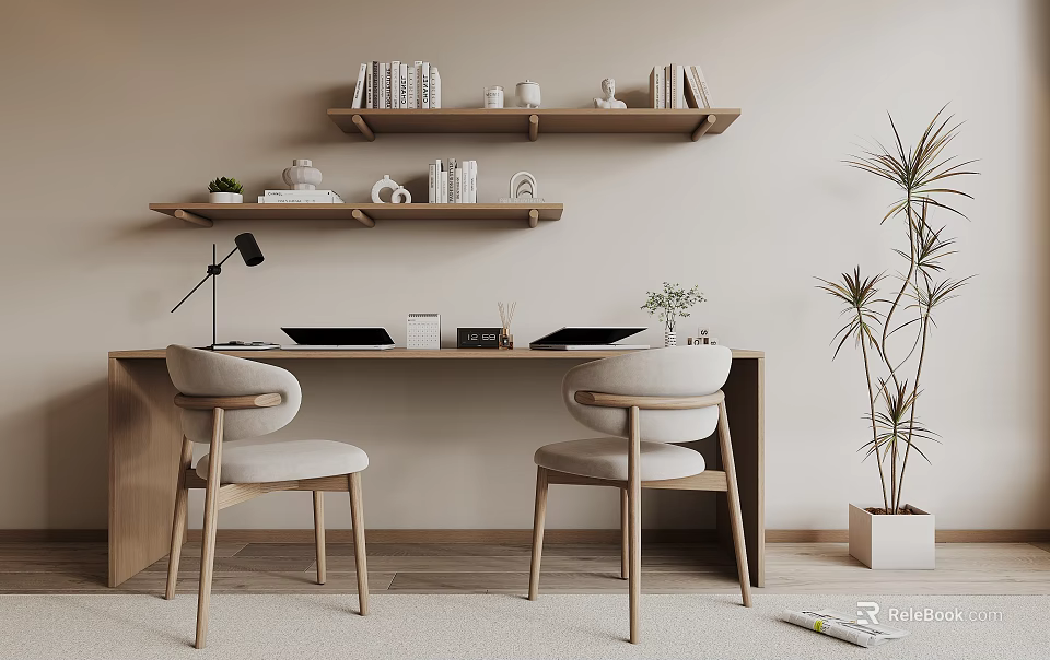 Modern Simple Desk Interior With Two Chairs Shelves Books Decorative Items And Potted Plant 3d model 