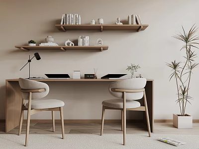 Modern Simple Desk Interior With Two Chairs Shelves Books Decorative Items And Potted Plant 3d model