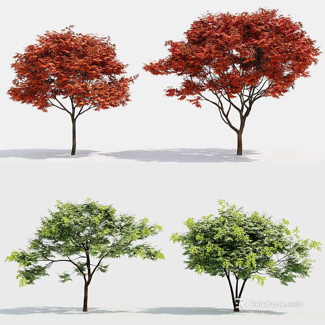 Four Arbor Trees With Red And Green Leaves In Natural Scenery 3d model 