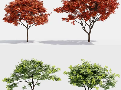 Four Arbor Trees With Red And Green Leaves In Natural Scenery 3d model