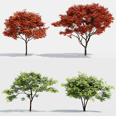 Four Arbor Trees With Red And Green Leaves In Natural Scenery 3d model