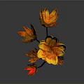Vibrant Red and Yellow Flower Plant with Petals and Black Stems on Gray Background