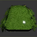 Playful Cartoon Scene With Lush Green Leaf Covered Object And Adorable Yellow Flowers
