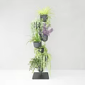 Tiered Indoor Garden Decor Stand With Various Green And Purple Hanging Plants