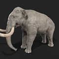 Realistic Standing Mammoth Model With Long Curved Tusks And Gray Skin