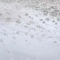 Scenic Landscape Of A Sandy Beach With Footprints And Textures