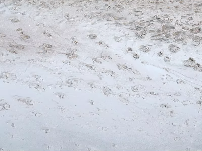 Scenic Landscape Of A Sandy Beach With Footprints And Textures 3d model Scenic Landscape Of A Sandy Beach With Footprints And Textures 3d model