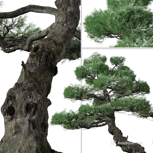 Arbor With Textured Trunk Hollow Features And Lush Green Foliage 3d model 