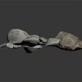 Natural Wooden Stone Samples with Gray White Color Green Brown Texture Various Sizes and Shapes