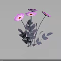 Four Pink Flowers With Yellow Centers And Purple Leaves On Stems Against Dark Background