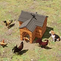 Reptile Living Near Wooden Chicken Coop With Chickens And Dog
