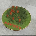 Frosted Needle Banksia Plants Growing On Circular Green Lawn With Stone Pavement