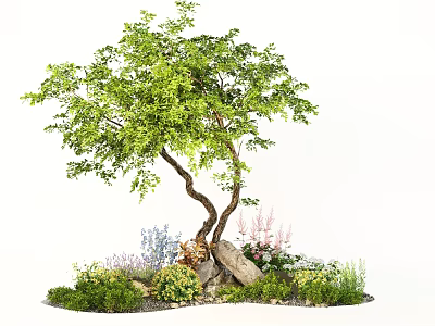Garden Landscape Featuring Curved Tree with Green Leaves and Colorful Flowers Around Stones 3d model