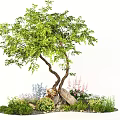 Garden Landscape Featuring Curved Tree with Green Leaves and Colorful Flowers Around Stones
