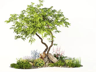 Modern Landscape Plant Flower Ytterbium Arbor Flowers and Plants Landscaping Stone 3d model