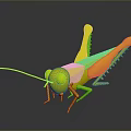 3D Grasshopper Character Model With Low Poly Design And Detailed Legs Antenna 3d model