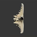 Detailed White Spiny Armed Starfish with Textured Surface and Reflection on Black Background