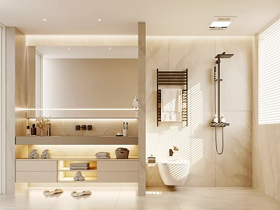 Modern Bathroom With Vanity Storage And Shower Fixtures 3d model