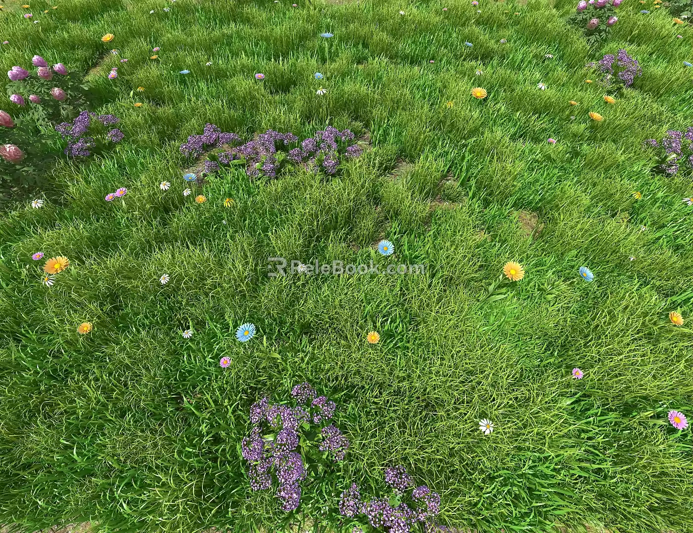 grass and grass 3d model