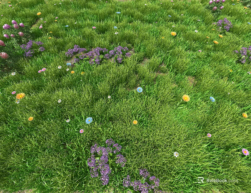 Colorful Flowers Growing In Lush Green Meadow With Various Petal Tones 3d model 