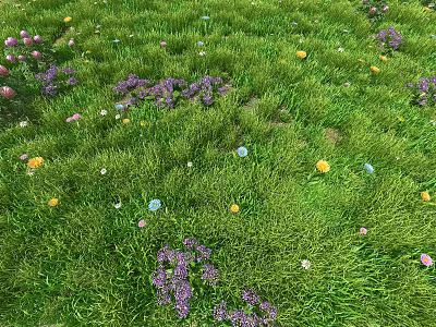 Colorful Flowers Growing In Lush Green Meadow With Various Petal Tones 3d model