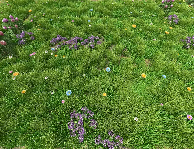 Colorful Flowers Growing In Lush Green Meadow With Various Petal Tones 3d model