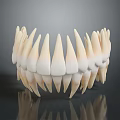3D Rendered Sharp Teeth Organ Model With Curved Arrangement And Reflective Surface