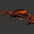Vibrant Red Crab With Shiny Dark Shell On Dark Background Displaying Extended Legs And Claws 3d model