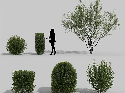 Lush Various Shaped Garden Shrubs In Outdoor Setting With Person Silhouette 3d model