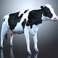 Realistic Black And White Cow Standing On Gray Background In 3D Render