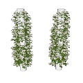 Modern Vine Large Umbrella White Rose Pillar Vine Plant Wall Outdoor Pillar Vine Creeper Flowering Greening Hedge 3d model