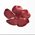 Red Flower with Glossy Petals and Intricate Stamens Isolated on White Background