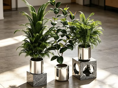 Potted Bonsai Plants in Metal Cylindrical and Marble Square Planters Indoor with Natural Sunlight 3d model