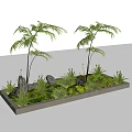 Tranquil Garden Landscape In Square Concrete Planter With Tall Ferns Rocks Moss And Small Plants