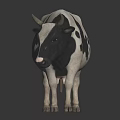 Black and white spotted cow with horns standing on gray background in studio